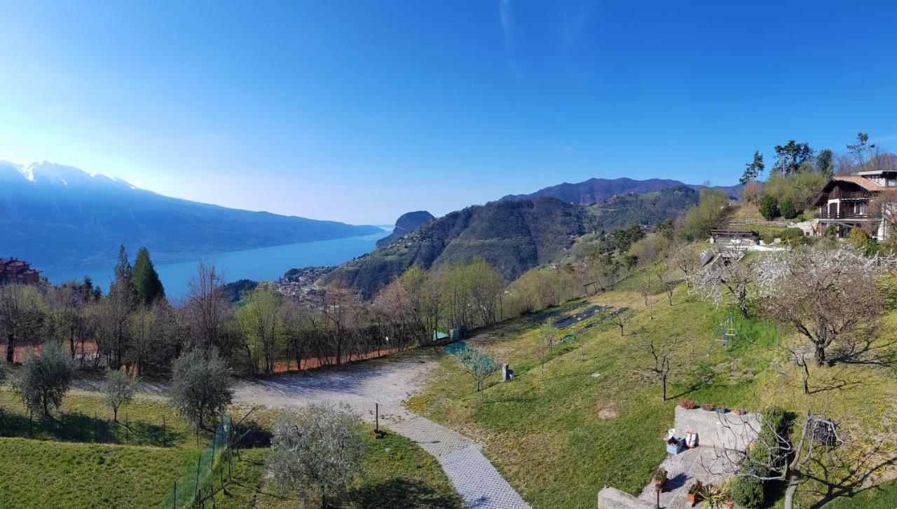 Teresa Campi Apartments Lake View By Gardadomusmea トレモージネ エクステリア 写真